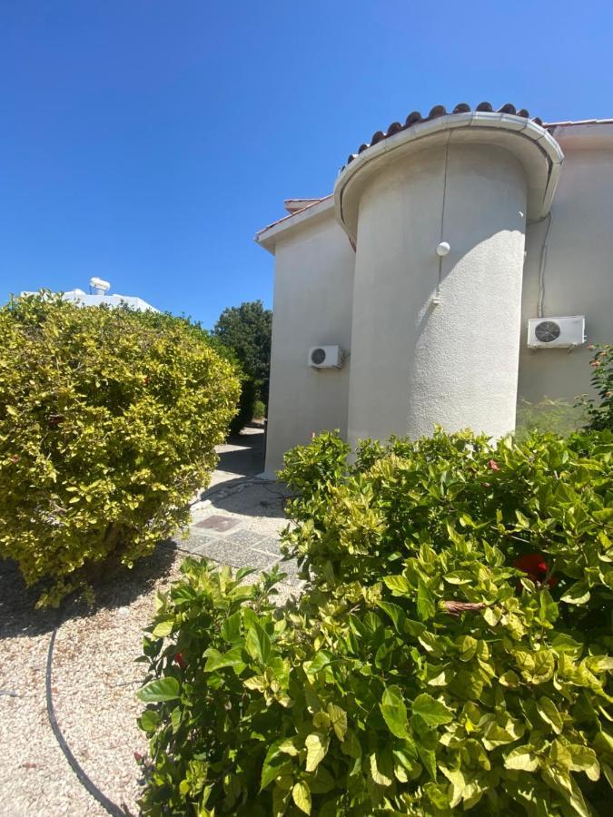 Paphos Seaside Maisonette 200M From Sea מראה חיצוני תמונה